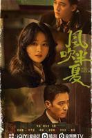 《风吹半夏》全集完整版免费在线观看