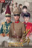 少帅电视剧全集高清完整版免费在线观看